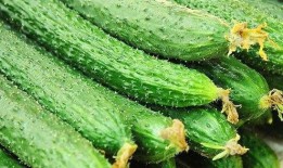 黄瓜c,揭秘黄瓜中的神秘元素